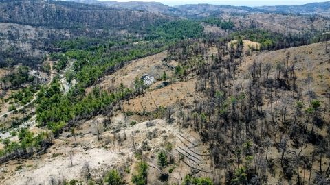 Η Nova παρέδωσε το μείζον έργο αποκατάστασης πυρόπληκτων περιοχών στη Ρόδο