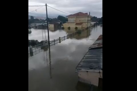 Τραγικές εικόνες από την Καρδίτσα 