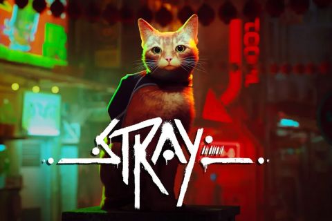 To αδεσποτάκι του Stray