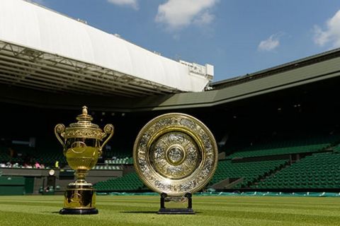 The Wimbledon Championships 2014
The All England Lawn Tennis & Croquet Club Wimbledon

Picture by:Thomas Lovelock/AELTC