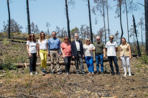 Η Nova παρέδωσε το μείζον έργο αποκατάστασης πυρόπληκτων περιοχών στη Ρόδο