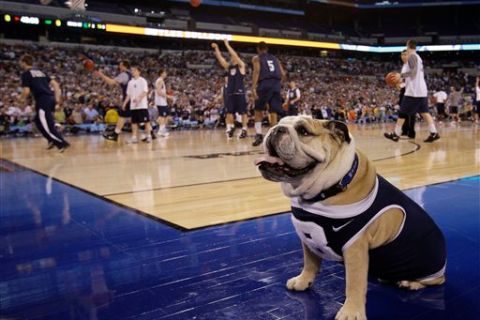 Butler's mascot, Blue II, sits on the court during a practice session for the NCAA Final Four college basketball tournament Friday, April 2, 2010, in Indianapolis. Butler faces Michigan State Saturday in a semifinal game. (AP Photo/Michael Conroy) 