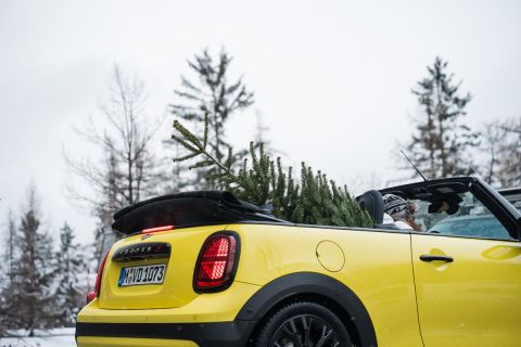 mini-cooper-cabrio