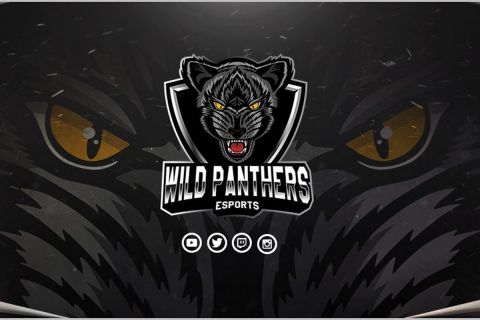 Wildpanthers logo