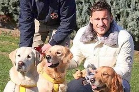 20080726 - ROMA - HUM - SALVATAGGIO OSTIA: TOTTI COMPIACIUTO PER SUO CANE EROE    - Una foto di archivio mostra il capitano della Roma    Francesco Totti in mezzo ai cani  della scuola Cani di Salvataggio   a Trigoria . Da Bucarest, dove si trova con la sua squadra per disputare un'amichevole, il capitano della Roma Francesco Totti ha espresso ''gioia e compiacimento'' per il salvataggio di una ragazza, nel mare di Ostia, a cui ha preso parte il suo cane-bagnino Ariel, la femmina di Labrador di circa due anni, insieme alla Guardia Costiera.   E' proprio per scopi umanitari, come il salvataggio in mare, che ''circa due anni fa inviai in addestramento - fa sapere Totti tramite il suo portavoce Piero Pagani - i miei due Labrador, Flipper ed Ariel Principe delle Acque''.
ANSA / KLD 