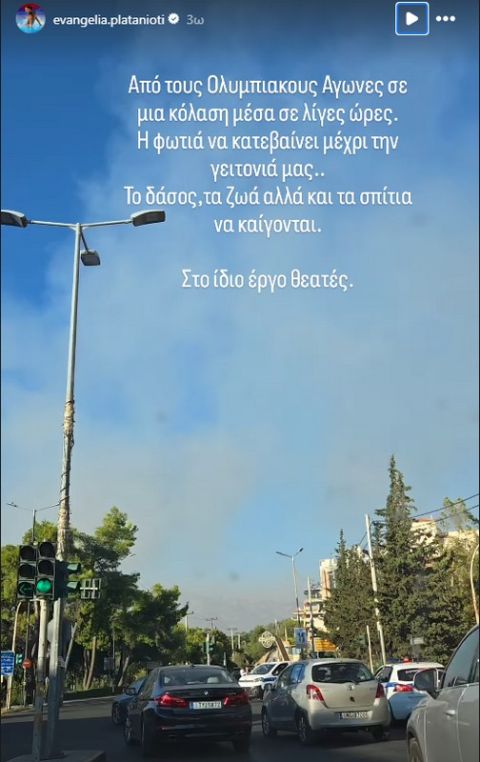 Η ανάρτηση της Ευαγγελίας Πλατανιώτη