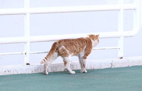 Οι καλύτερες φωτογραφίες του Σαββατοκύριακου