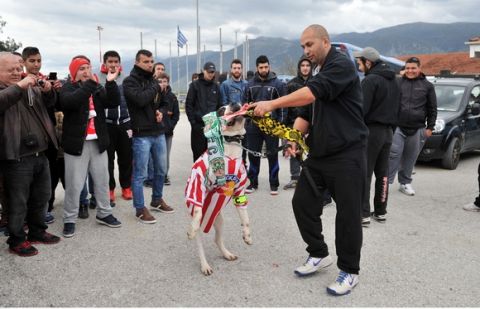 Με Μαρινάκη στα Γιάννινα