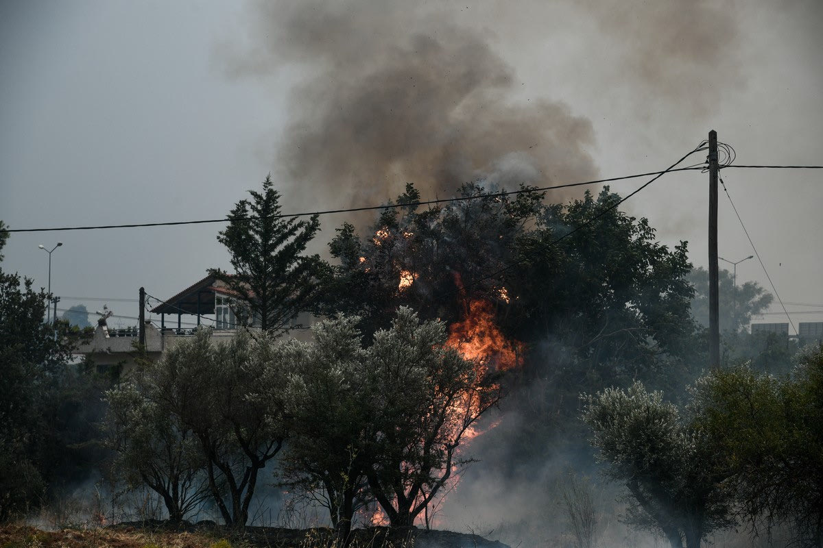ΠΑΟΚ και Άρης έστειλαν μήνυμα στήριξης προς τους πυρόπληκτους
